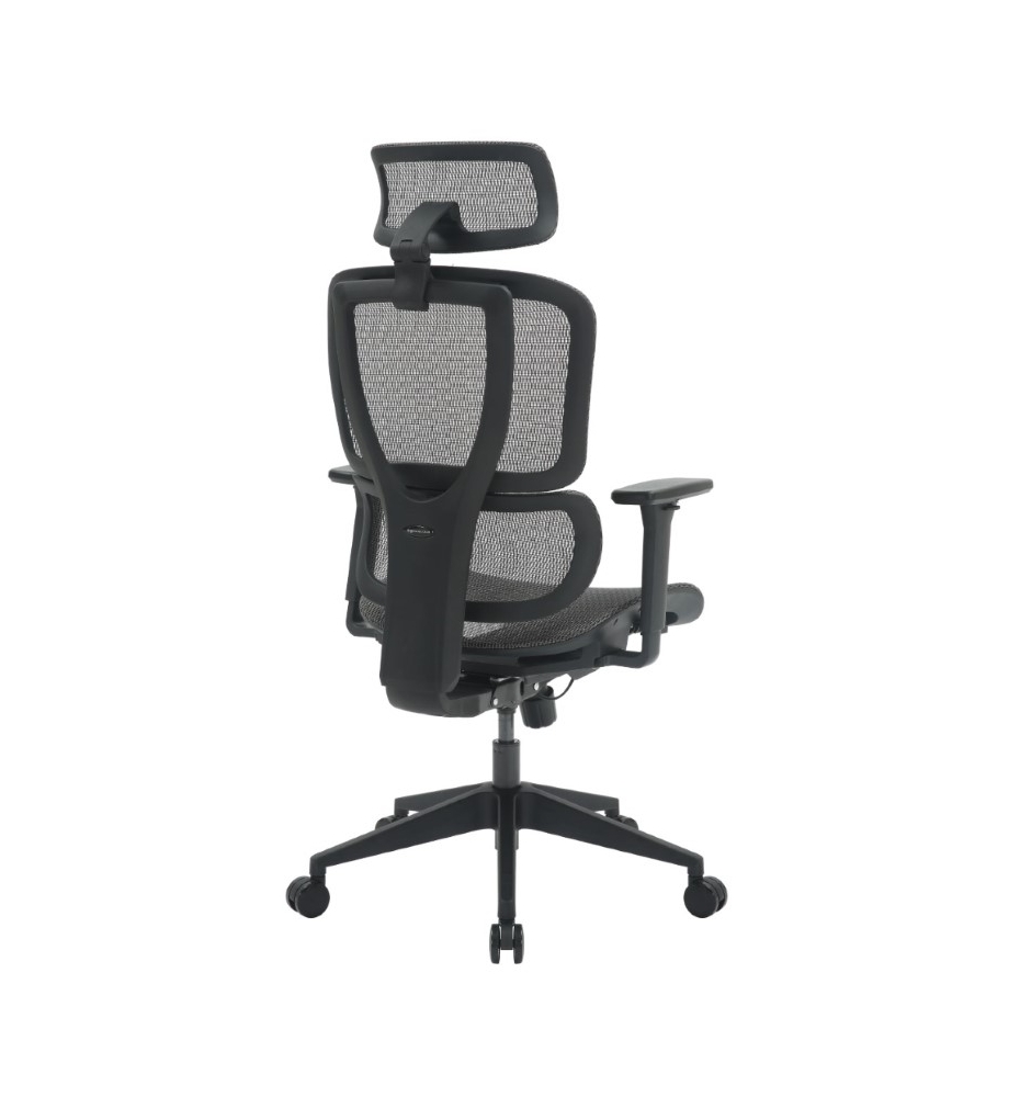 Biuro kėdė ERGONOMIC mesh